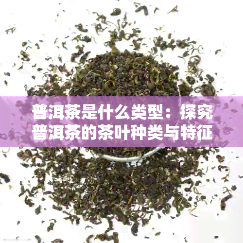 普洱茶是什么类型：探究普洱茶的茶叶种类与特征