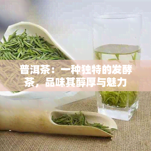 普洱茶：一种独特的发酵茶，品味其醇厚与魅力