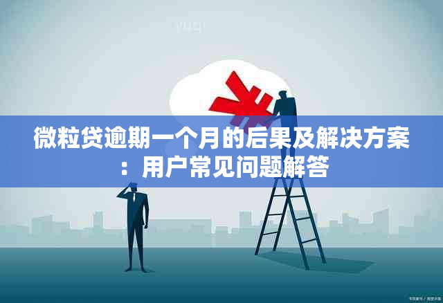 微粒贷逾期一个月的后果及解决方案：用户常见问题解答