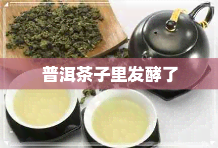 普洱茶子里发酵了