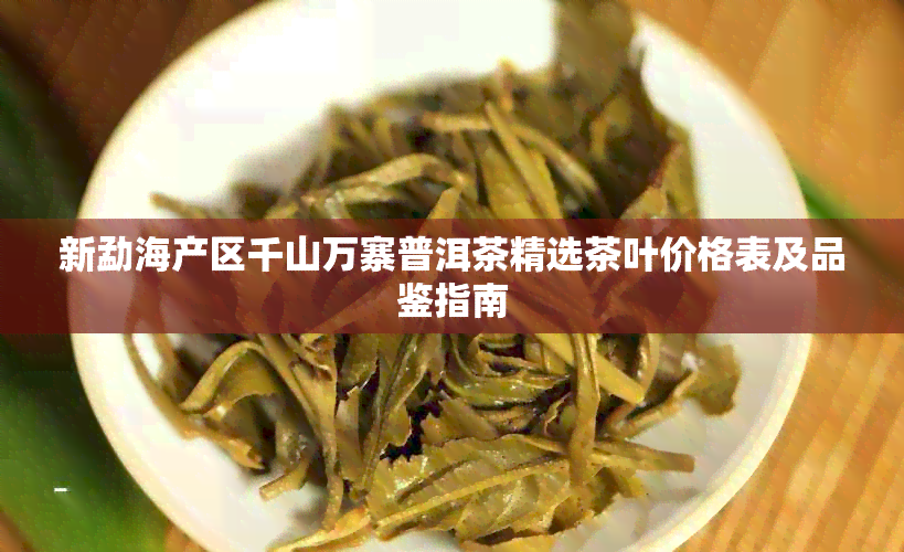 新勐海产区千山万寨普洱茶精选茶叶价格表及品鉴指南