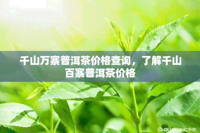 千山万寨普洱茶价格查询，了解千山百寨普洱茶价格