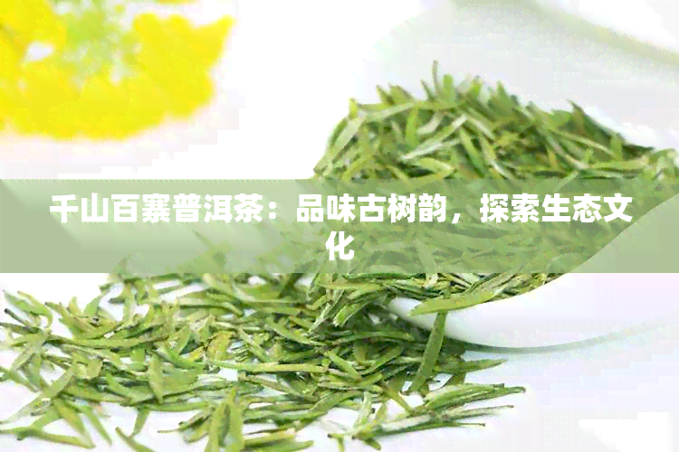 千山百寨普洱茶：品味古树韵，探索生态文化