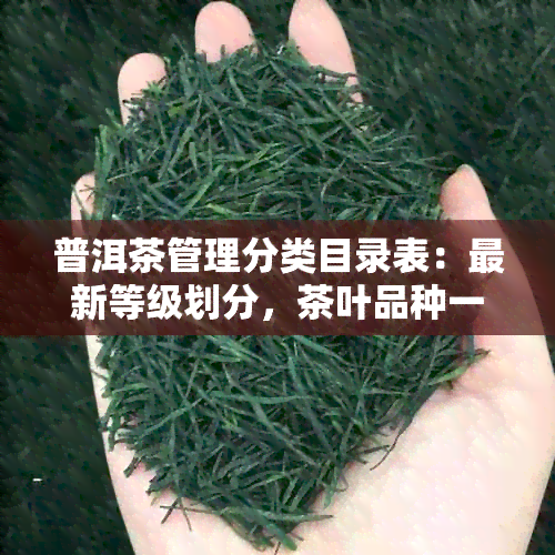 普洱茶管理分类目录表：最新等级划分，茶叶品种一目了然。