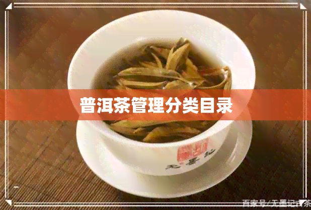 普洱茶管理分类目录