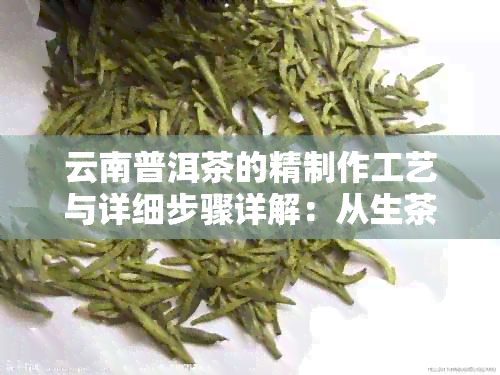 云南普洱茶的精制作工艺与详细步骤详解：从生茶到熟茶的全过程