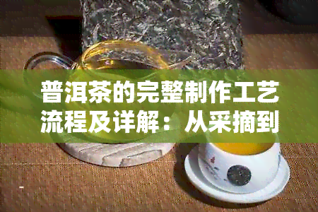 普洱茶的完整制作工艺流程及详解：从采摘到品味的全过程解析