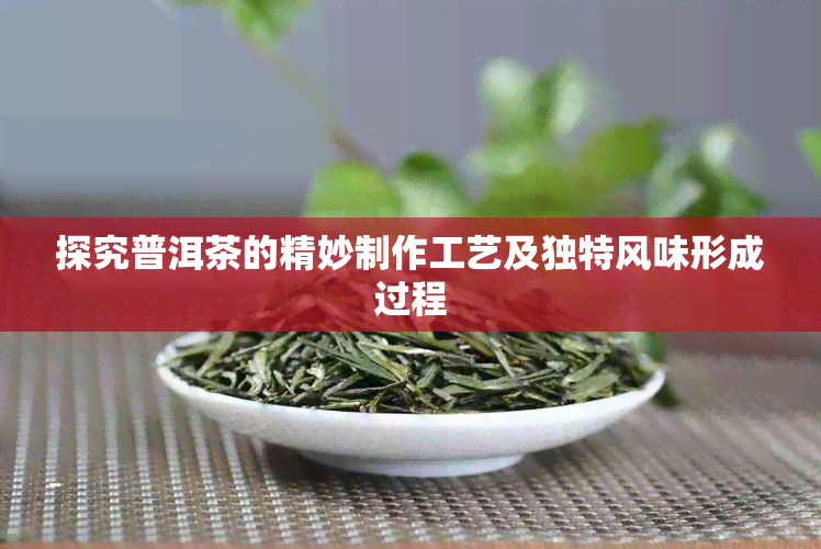 探究普洱茶的精妙制作工艺及独特风味形成过程