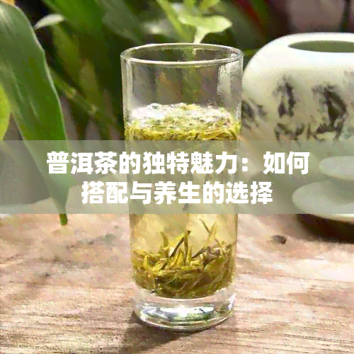 普洱茶的独特魅力：如何搭配与养生的选择