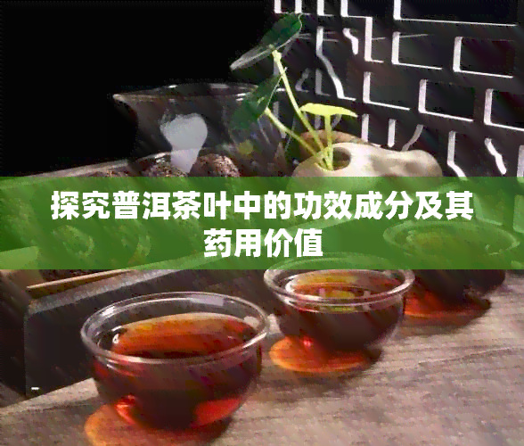 探究普洱茶叶中的功效成分及其用价值