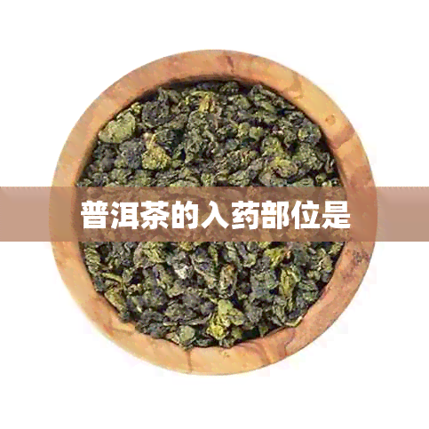 普洱茶的入部位是