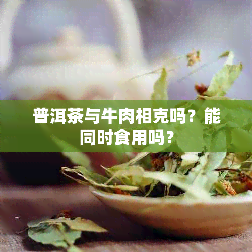 普洱茶与牛肉相克吗？能同时食用吗？