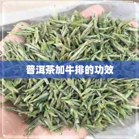 普洱茶加牛排的功效