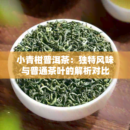 小青柑普洱茶：独特风味与普通茶叶的解析对比