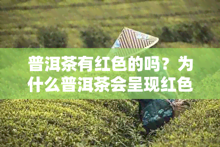 普洱茶有红色的吗？为什么普洱茶会呈现红色？