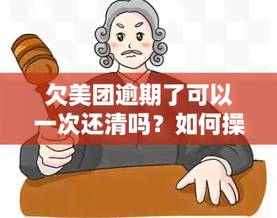 欠美团逾期了可以一次还清吗？如何操作解决？