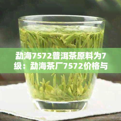 勐海7572普洱茶原料为7级：勐海茶厂7572价格与熟茶特点