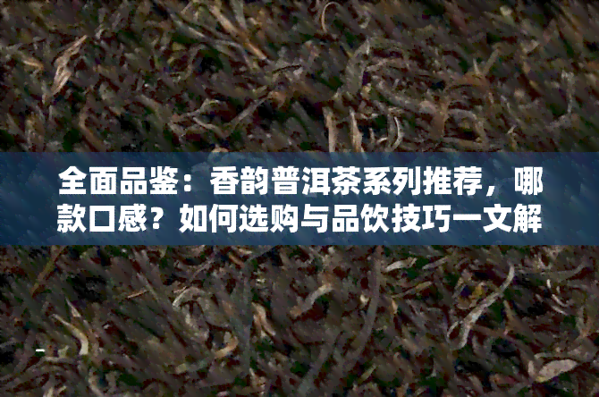 全面品鉴：香韵普洱茶系列推荐，哪款口感？如何选购与品饮技巧一文解析