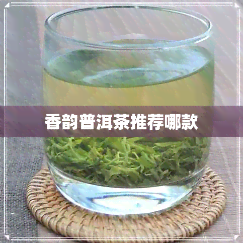 香韵普洱茶推荐哪款