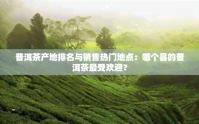 普洱茶产地排名与销售热门地点：哪个县的普洱茶更受欢迎？