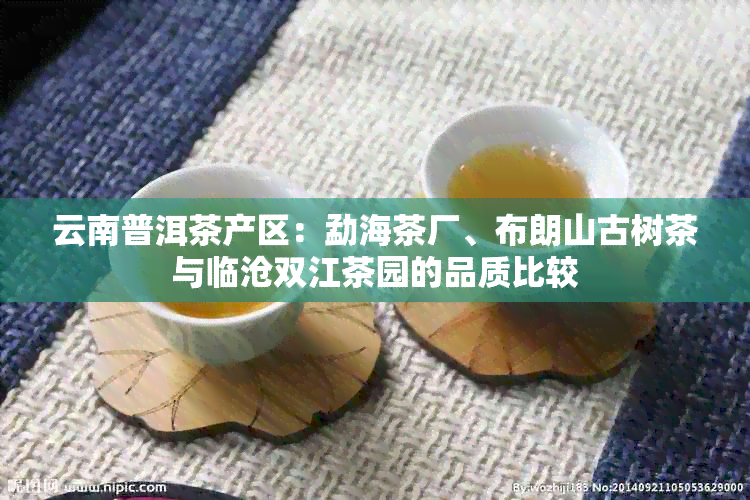 云南普洱茶产区：勐海茶厂、布朗山古树茶与临沧双江茶园的品质比较