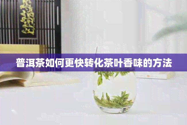 普洱茶如何更快转化茶叶香味的方法