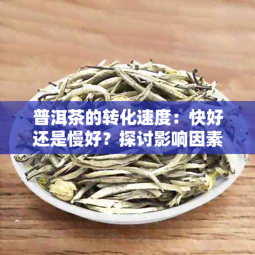 普洱茶的转化速度：快好还是慢好？探讨影响因素与个人口感体验