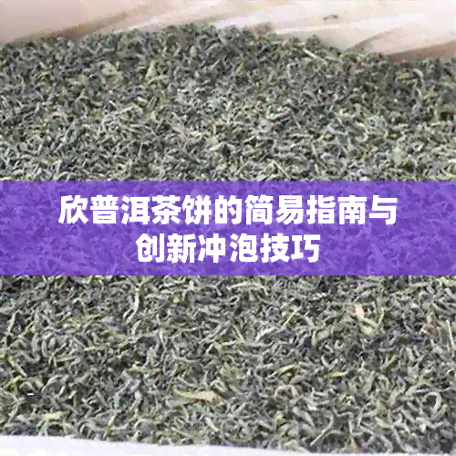 欣普洱茶饼的简易指南与创新冲泡技巧