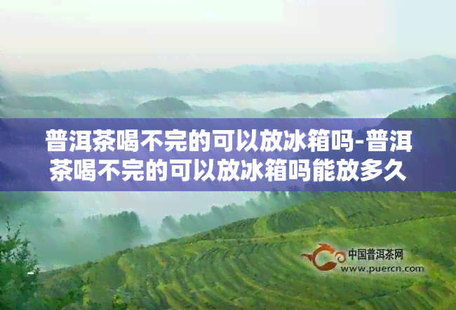 普洱茶喝不完的可以放冰箱吗-普洱茶喝不完的可以放冰箱吗能放多久