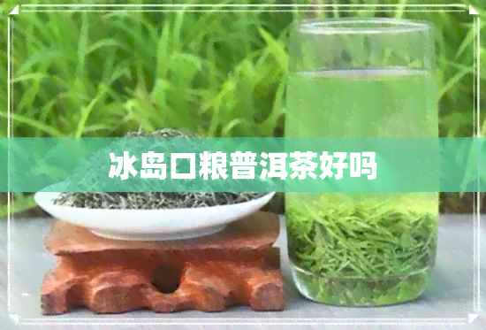 冰岛口粮普洱茶好吗