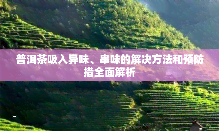 普洱茶吸入异味、串味的解决方法和预防措全面解析