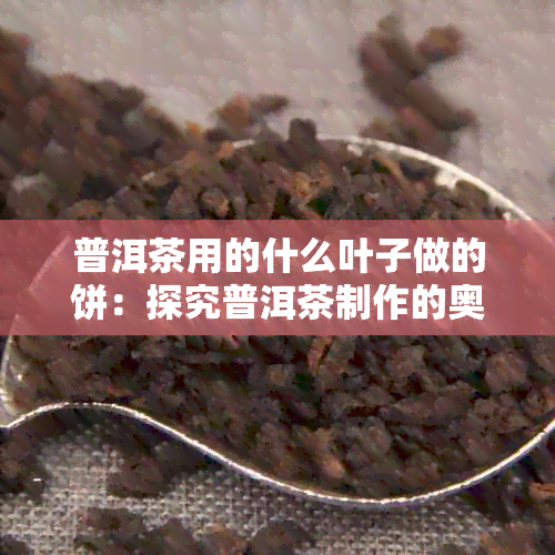 普洱茶用的什么叶子做的饼：探究普洱茶制作的奥秘