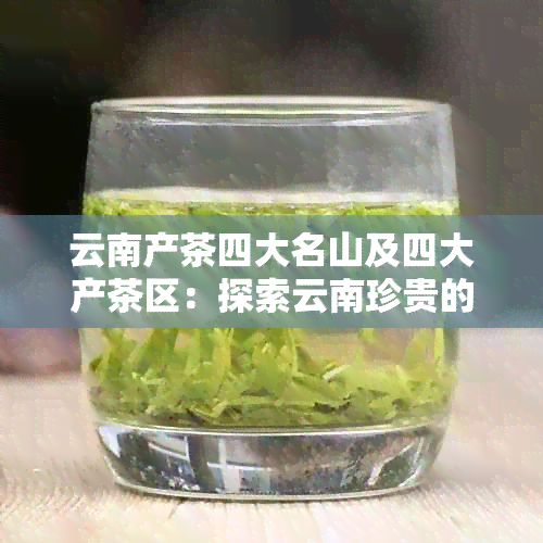 云南产茶四大名山及四大产茶区：探索云南珍贵的茶文化