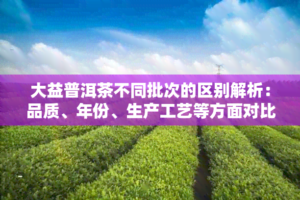 大益普洱茶不同批次的区别解析：品质、年份、生产工艺等方面对比