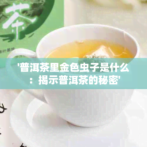 '普洱茶里金色虫子是什么：揭示普洱茶的秘密'