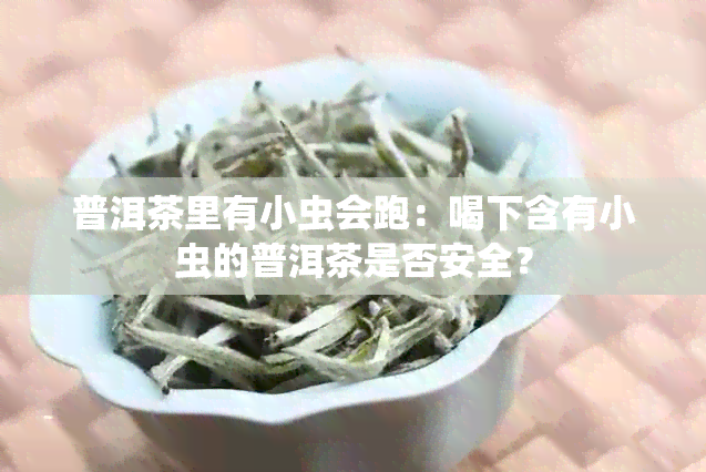 普洱茶里有小虫会跑：喝下含有小虫的普洱茶是否安全？