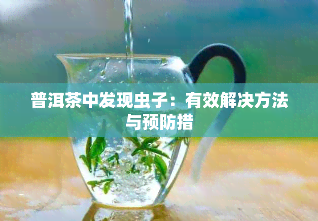 普洱茶中发现虫子：有效解决方法与预防措