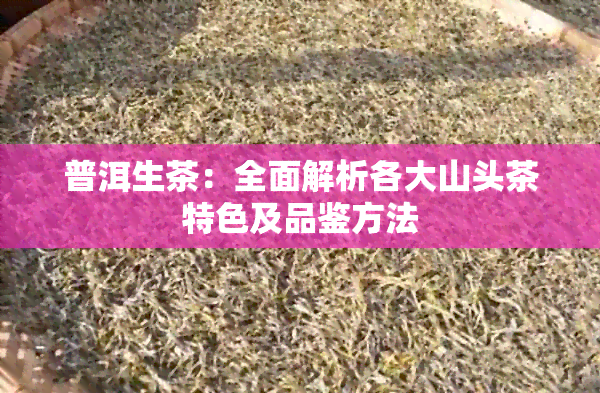 普洱生茶：全面解析各大山头茶特色及品鉴方法