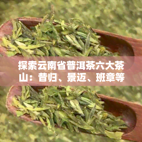 探索云南省普洱茶六大茶山：昔归、景迈、班章等著名山头的特点与口感