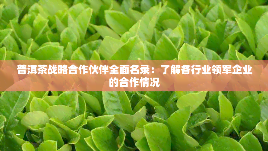 普洱茶战略合作伙伴全面名录：了解各行业领军企业的合作情况