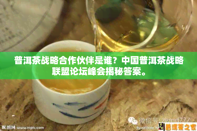 普洱茶战略合作伙伴是谁？中国普洱茶战略联盟论坛峰会揭秘答案。