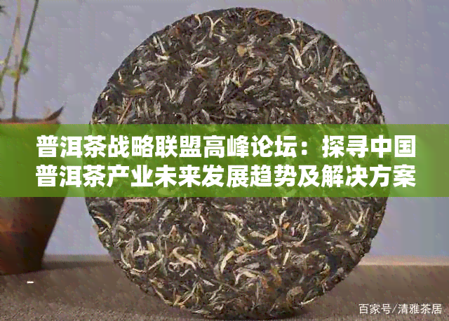 普洱茶战略联盟高峰论坛：探寻中国普洱茶产业未来发展趋势及解决方案