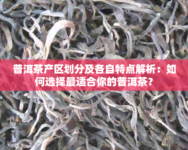 普洱茶产区划分及各自特点解析：如何选择最适合你的普洱茶？