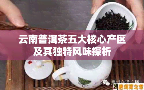 云南普洱茶五大核心产区及其独特风味探析