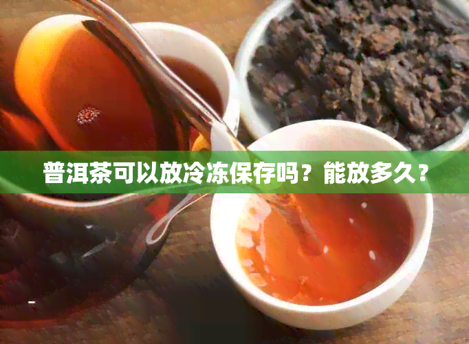 普洱茶可以放冷冻保存吗？能放多久？