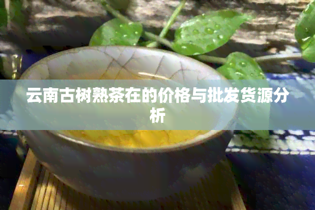 云南古树熟茶在的价格与批发货源分析