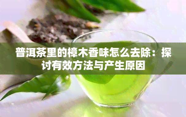 普洱茶里的樟木香味怎么去除：探讨有效方法与产生原因