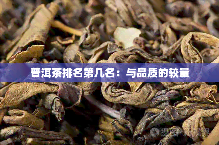 普洱茶排名第几名：与品质的较量