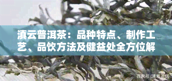 滇云普洱茶：品种特点、制作工艺、品饮方法及健益处全方位解析