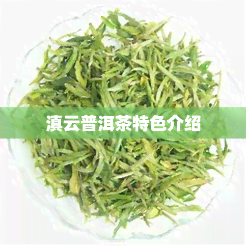 滇云普洱茶特色介绍